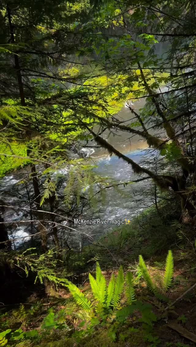 Oregon Rivers and Forests Offer Natural Beauty