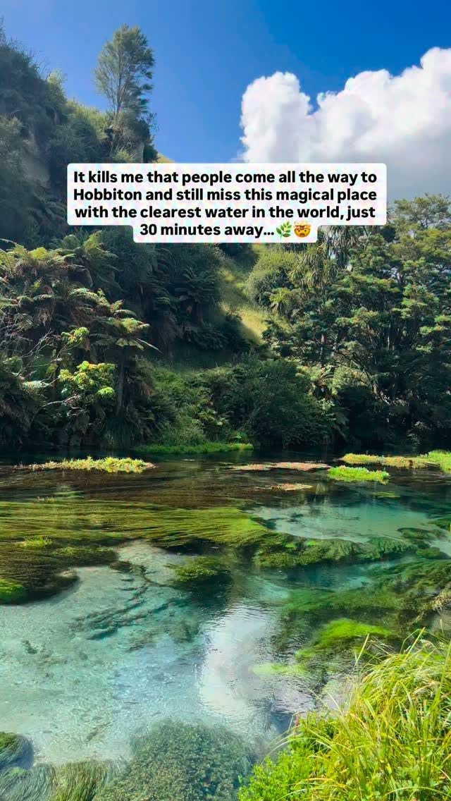 New Zealand's Magical Blue Waters and Movie Set