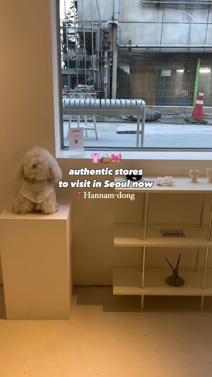 Seoul Fashion Stores: Anoetic, Marge Sherwood, Amidi