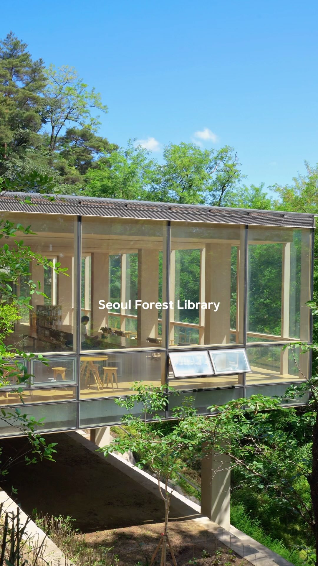Seoul's Serene Forest Retreats