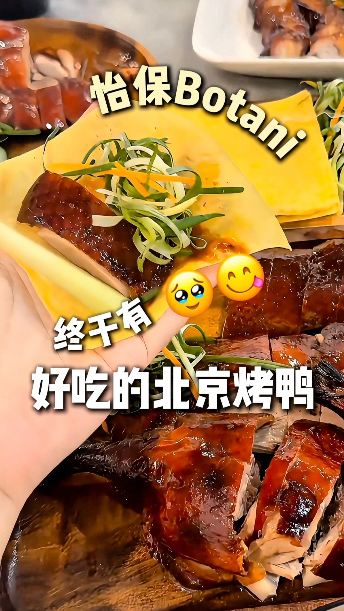 Ipoh Local's Favorite Peking Duck Spot