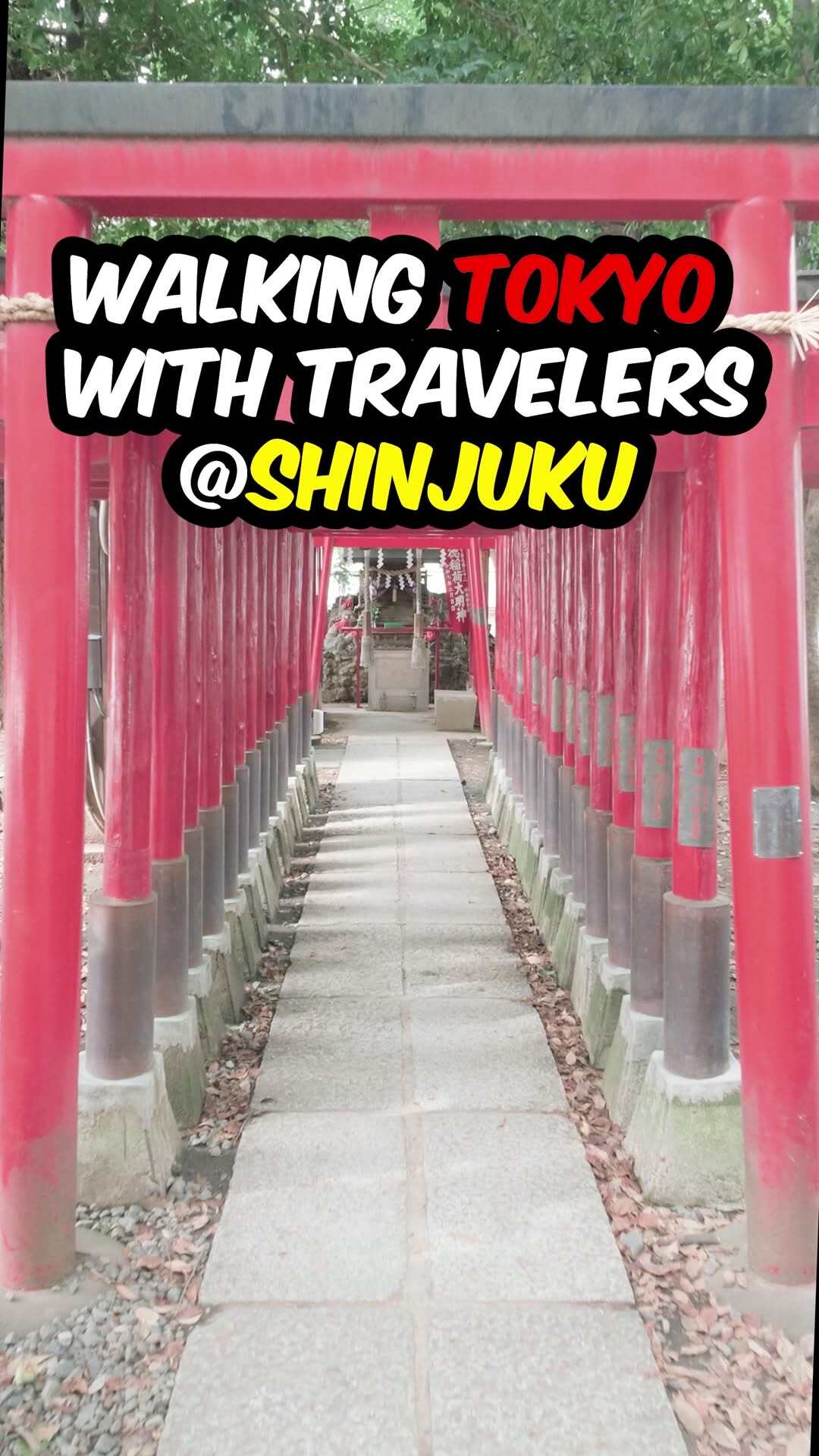 Shinjuku Exploration: Shrine, Entertainment, and Cinema