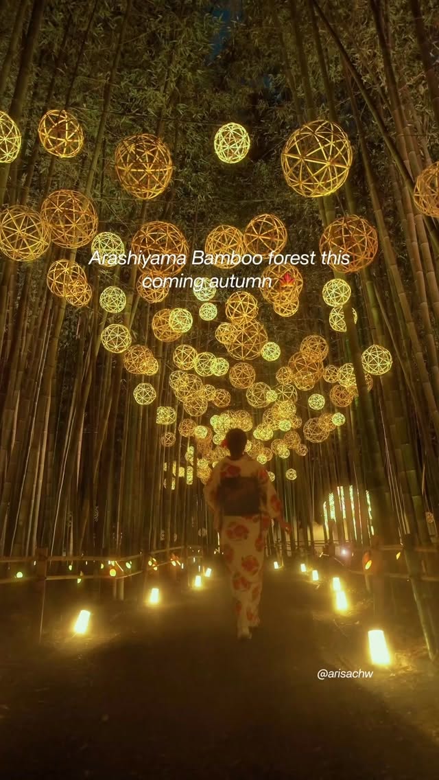 Arashiyama Bamboo Forest Nighttime Illumination