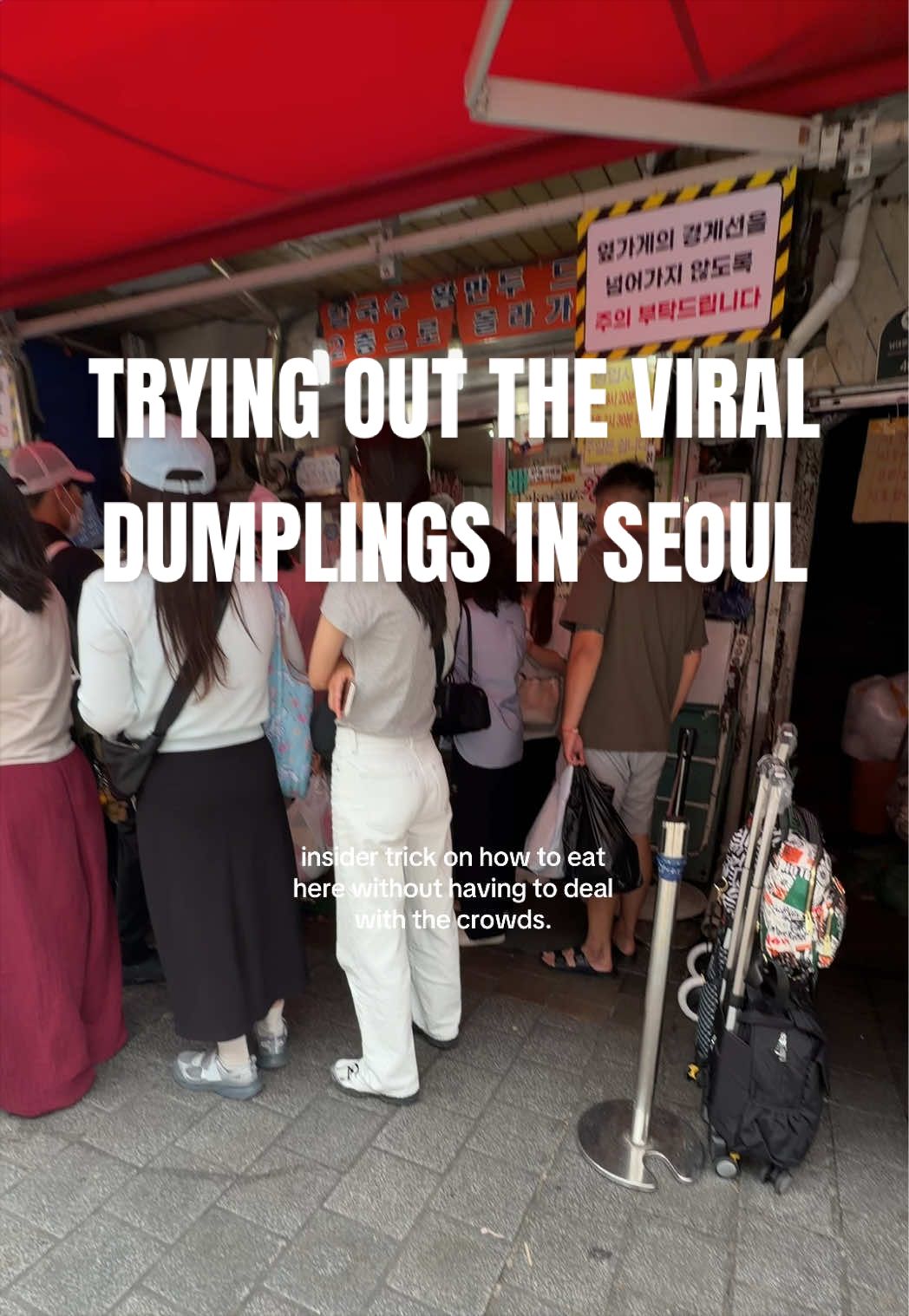 Seoul Dumpling Delights in Namdaemun Market