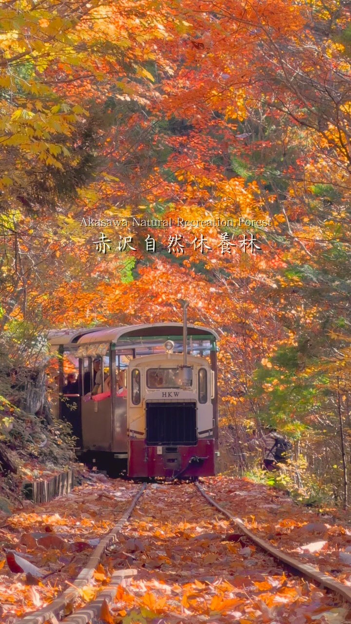 Japanese Forest and Scenic Railway