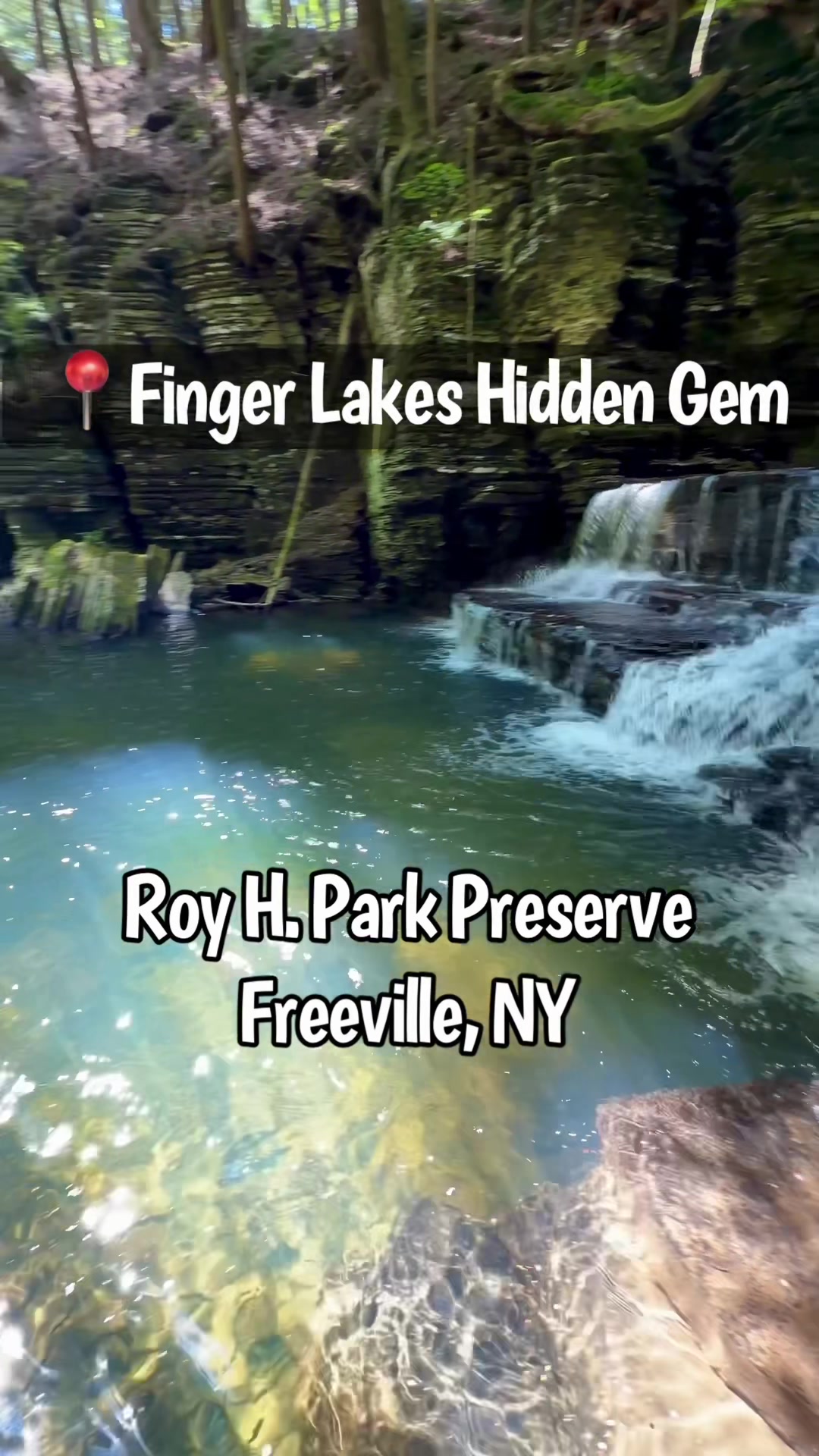 Roy H Park Preserve's Waterfall And Heart Wall