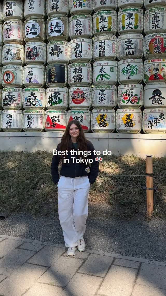 Tokyo's Diverse Attractions and Mount Fuji