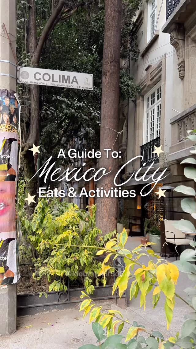 Mexico City's Culinary and Cultural Delights