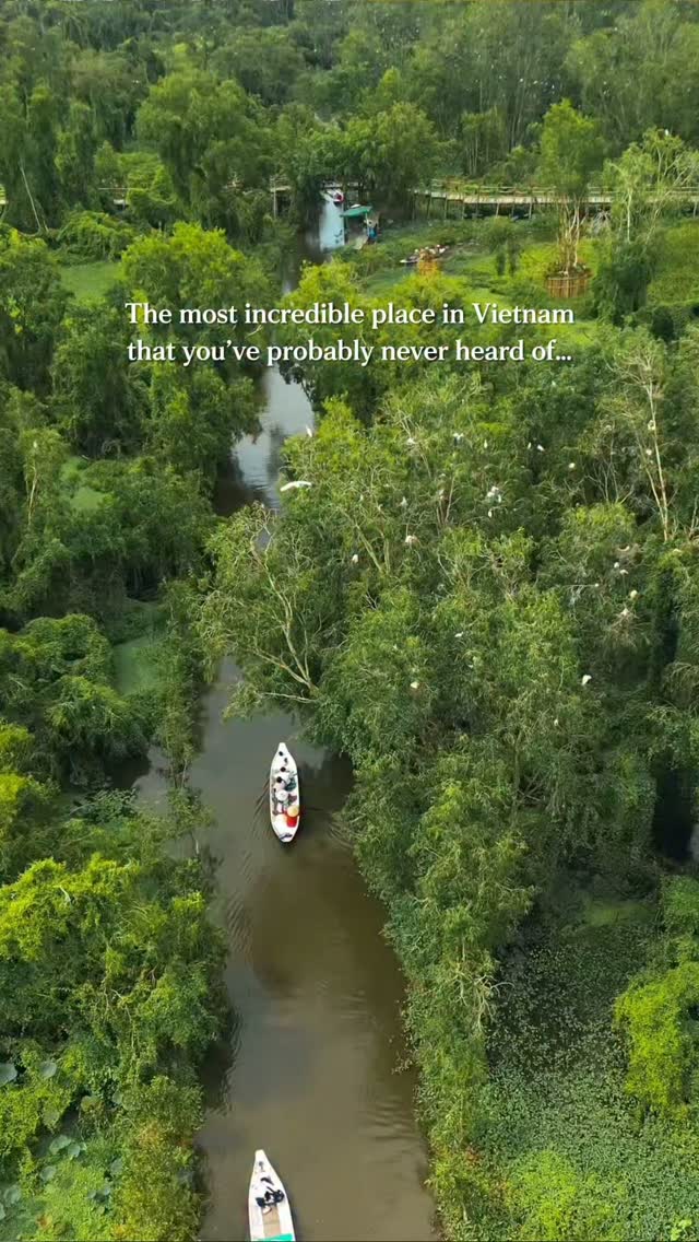 Tra Su Cajuput Forest: Vietnam's Wetland Nature Escape
