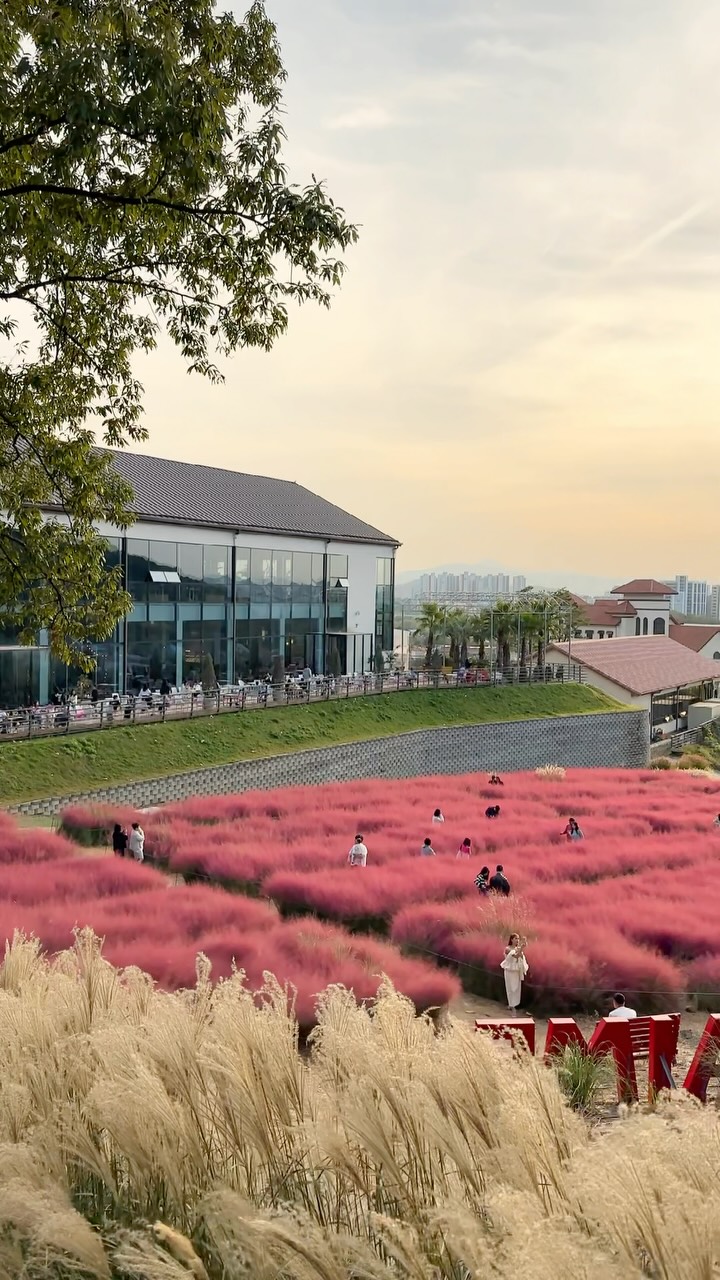 Pins Coffee: Large Garden Cafe With Pink Muhly