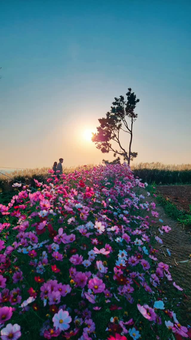 Beaches in South Korea