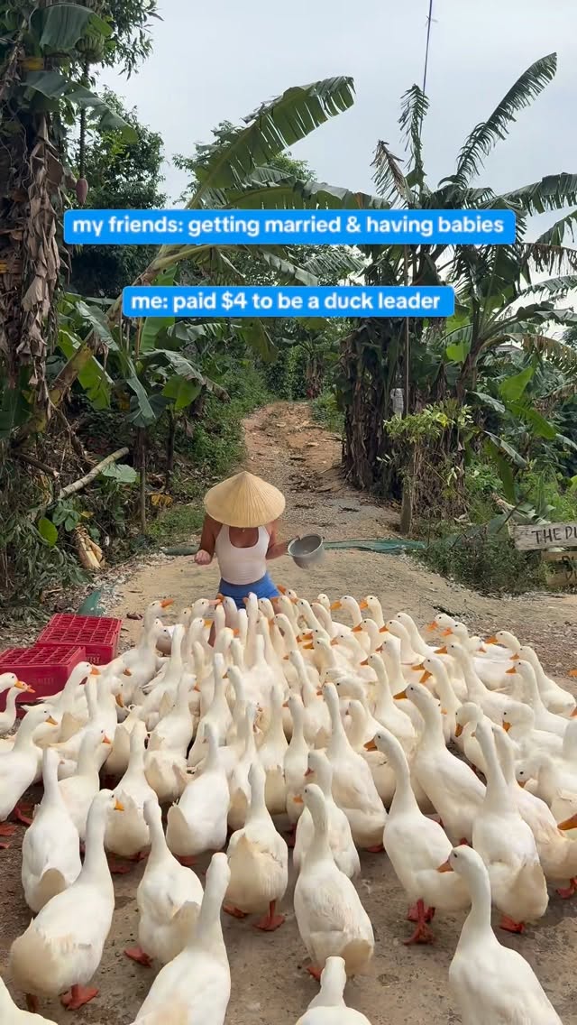 Experience A Duck Farm In Vietnam