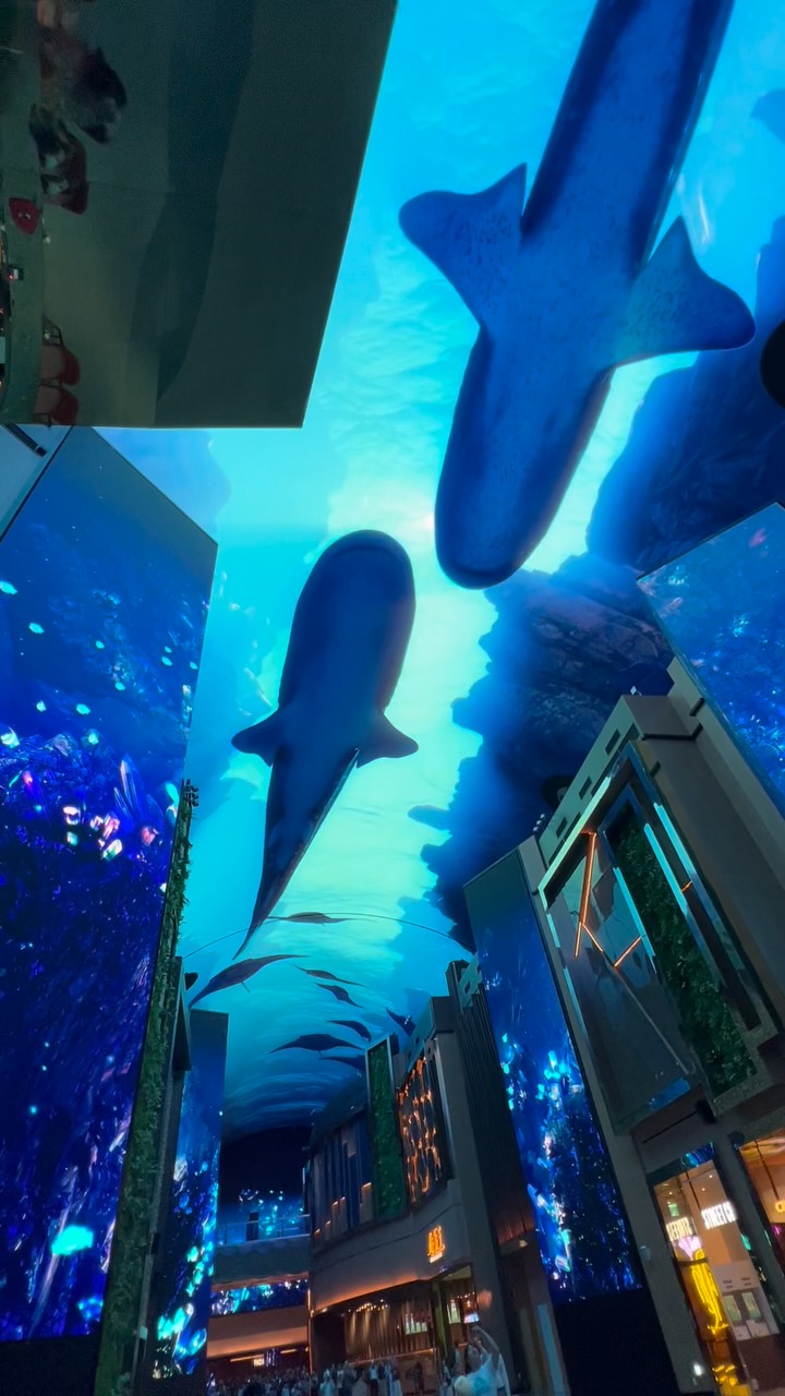 INSPIRE Entertainment Resort's Immersive Digital Nature Art
