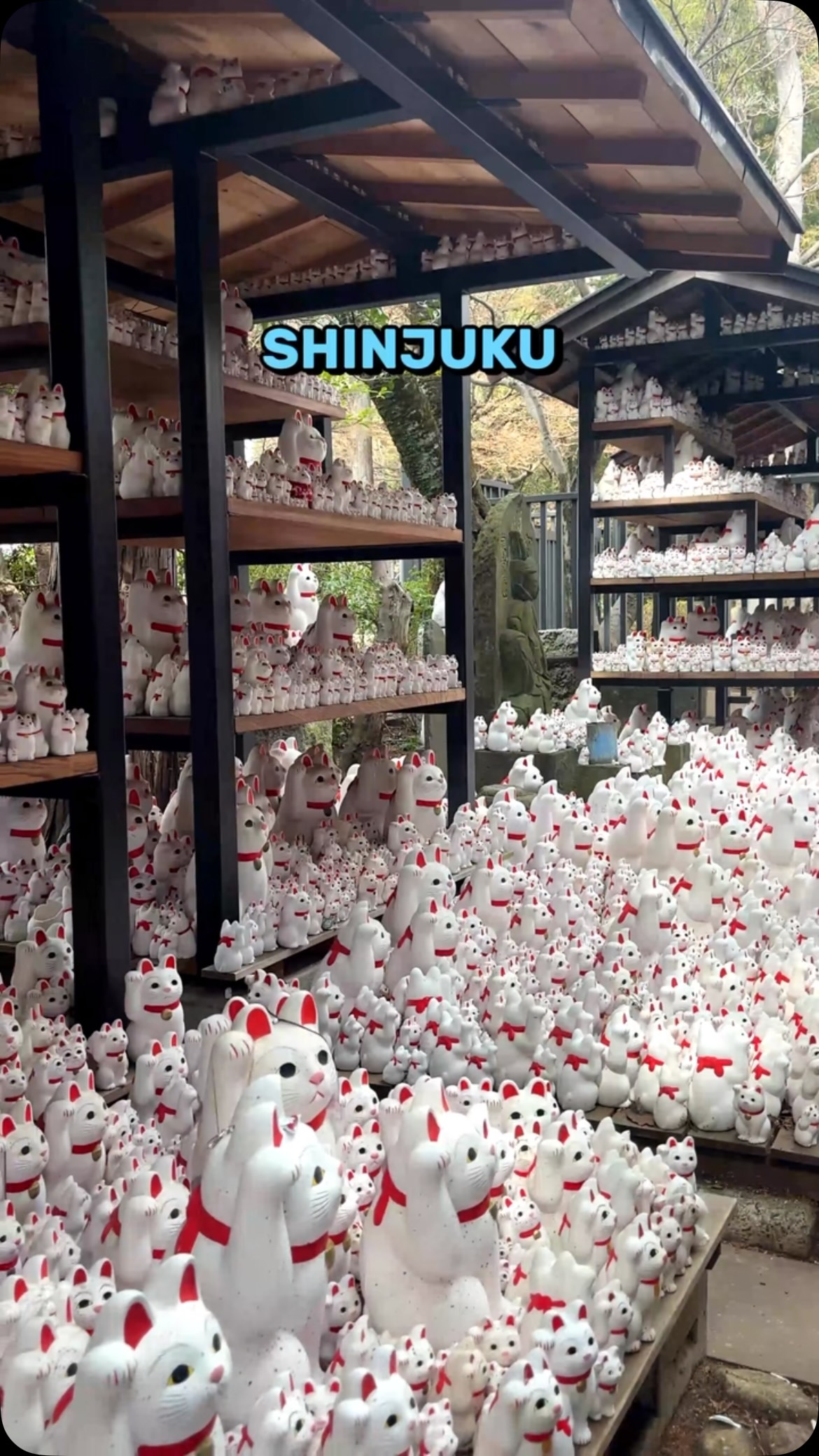 Temples and Sweet Shops with Cat Themes