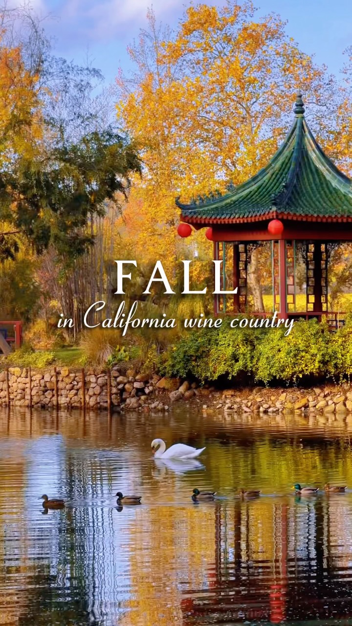 California Wine Country Destinations In Fall