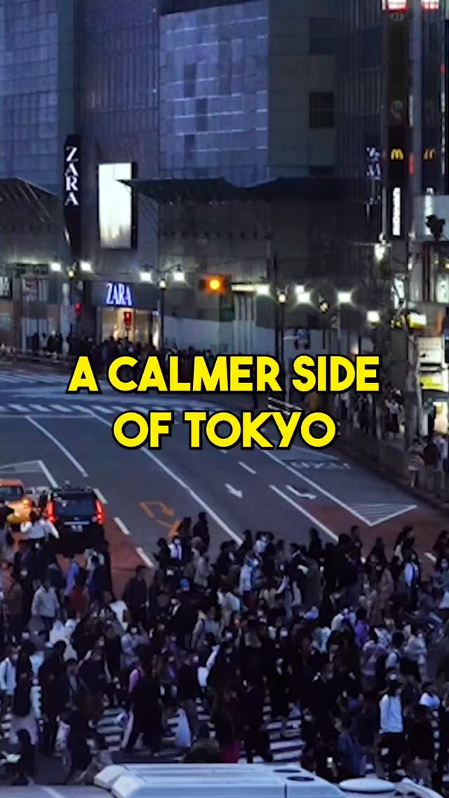 Calm Tokyo Neighborhoods and Day Trips by Rail