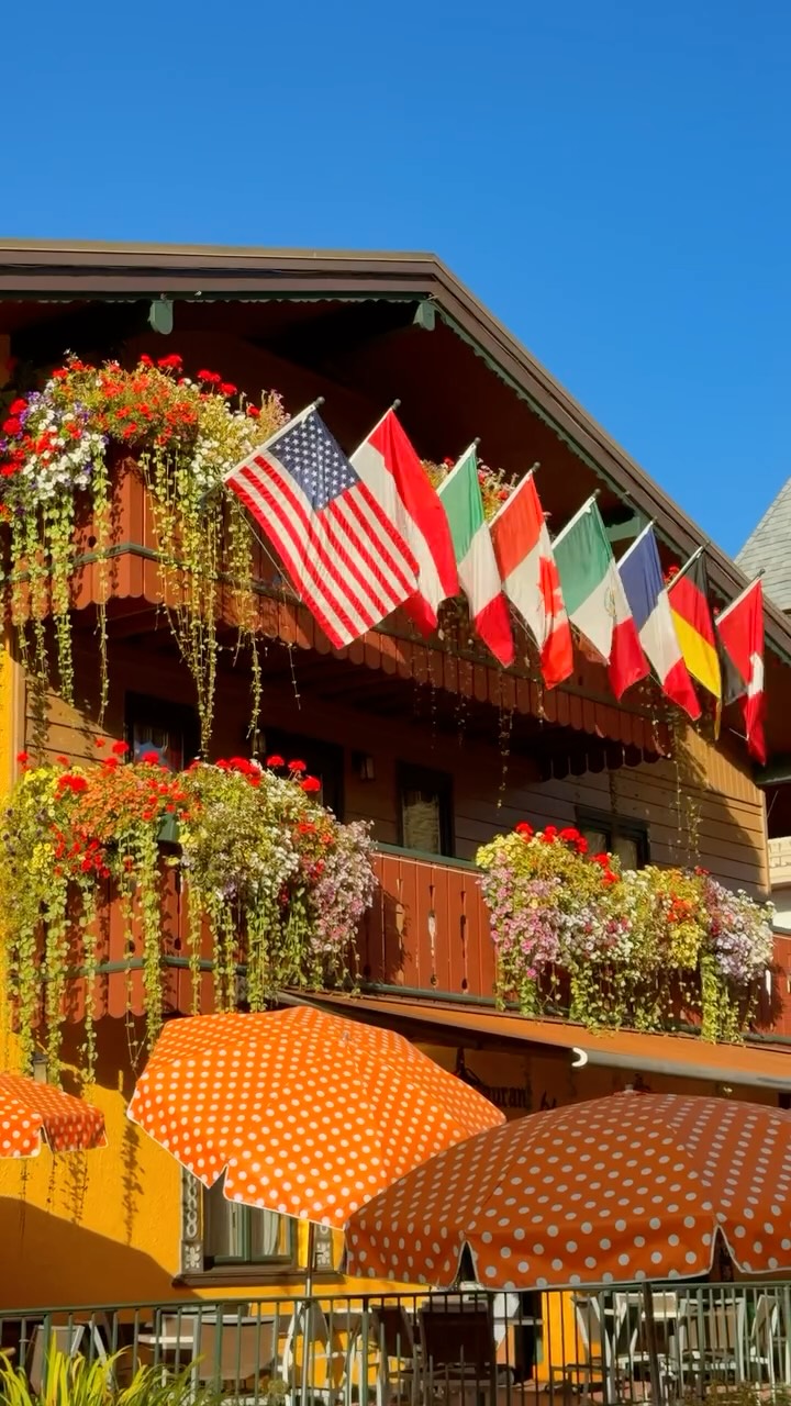 Vail Colorado's Autumn Alpine Beauty