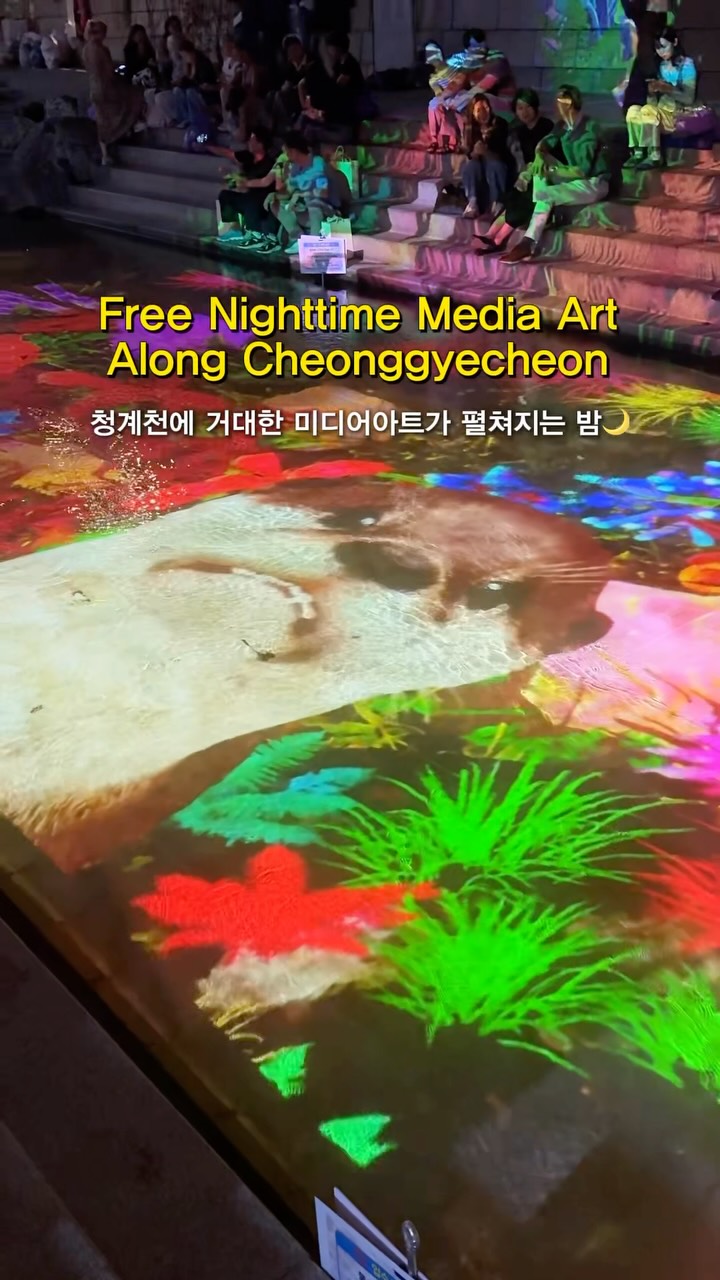 Cheonggyecheon's Media Art Experience