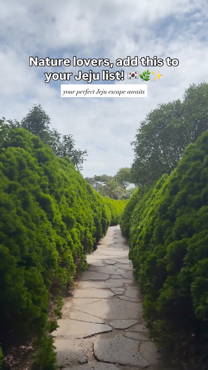 Camellia Hill Botanical Garden: A Jeju Nature Escape