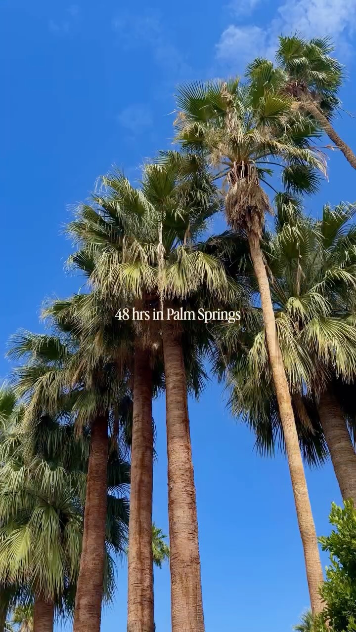 Desert Zoo And Porta Via In Palm Desert