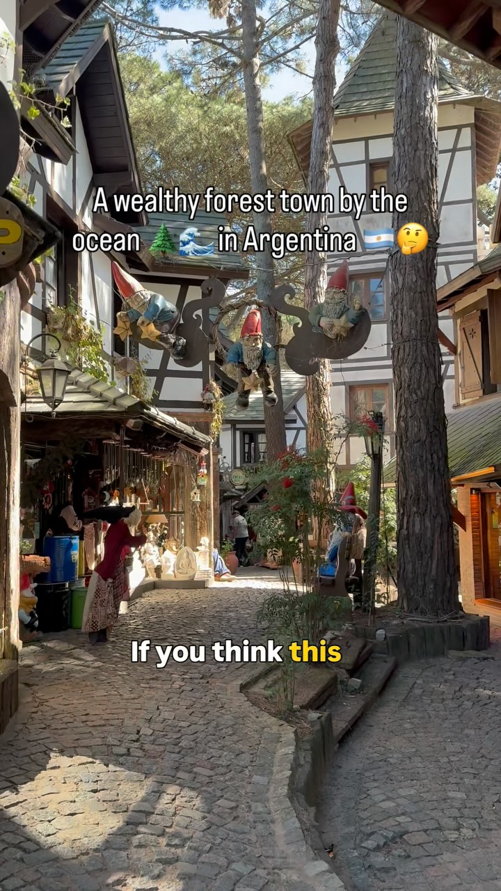 Coastal Argentinian Forest Beach Towns