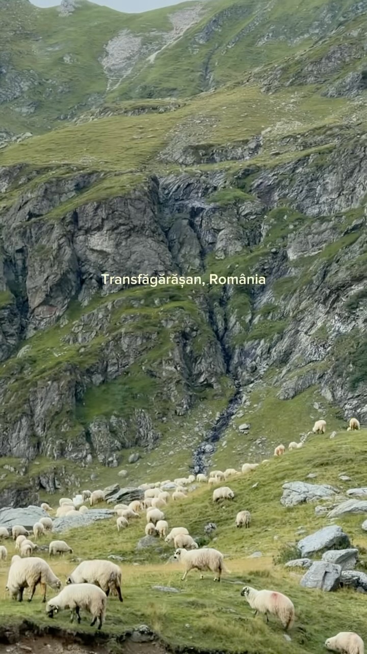 Transfăgărășan Road and Făgăraș Mountains Journey