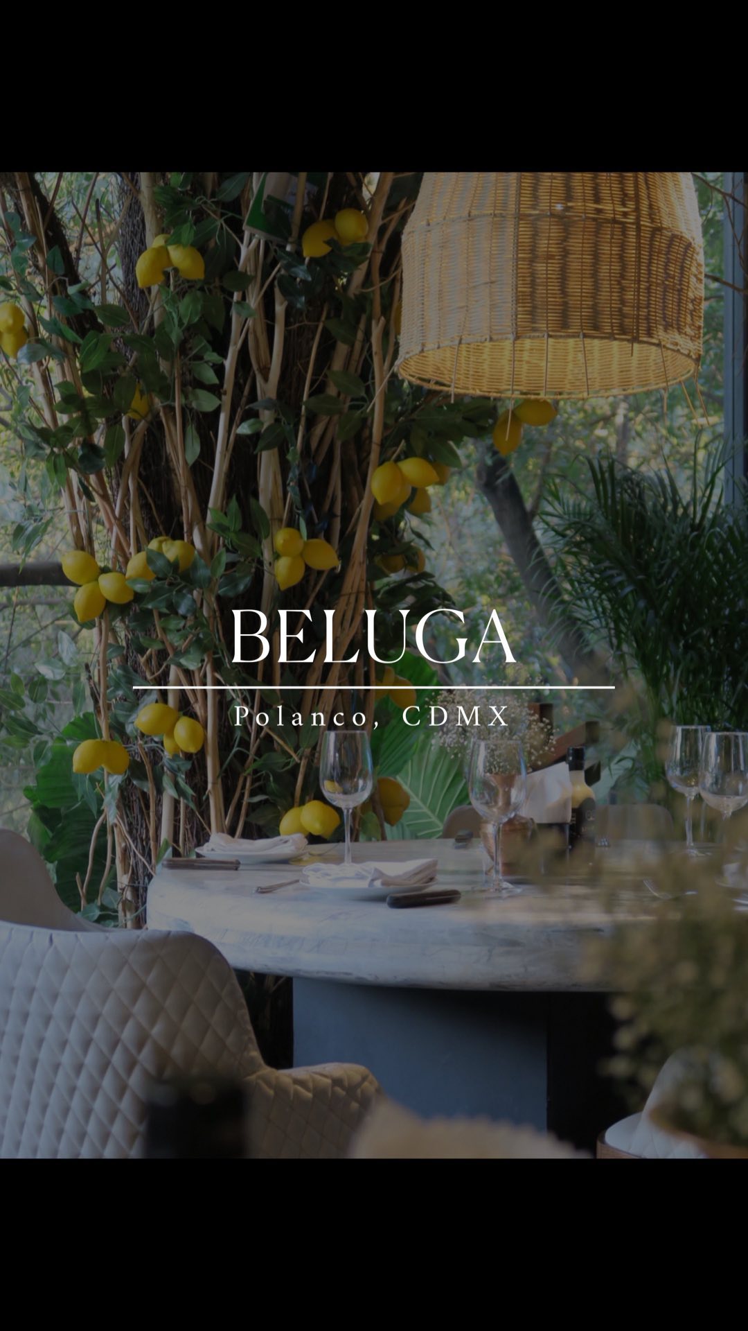 Beluga Restaurant's Unique Dining Experience