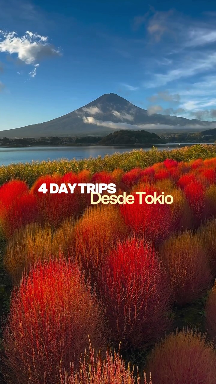 Tokyo Day Trips With Mount Fuji Views