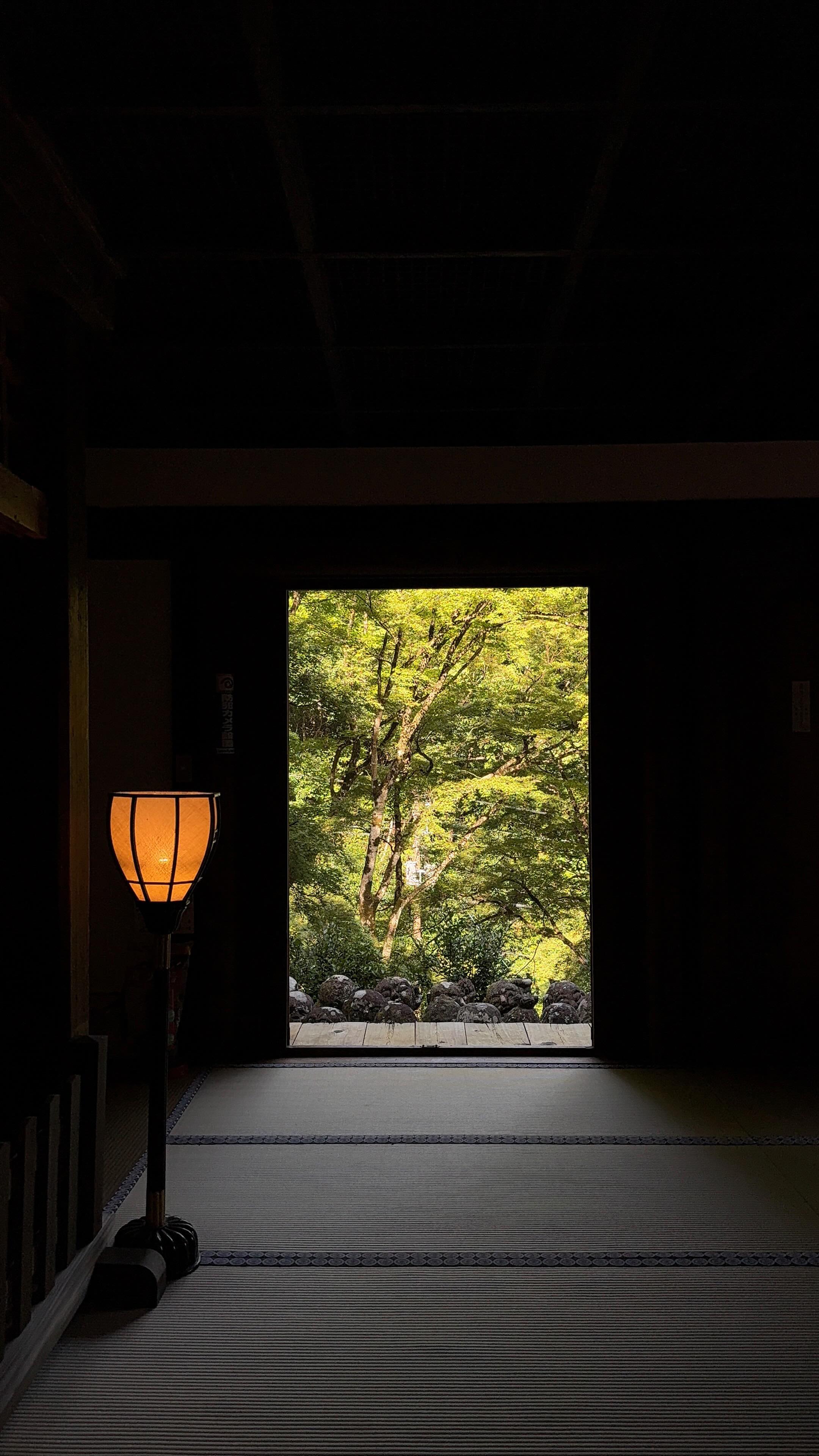 Exploring Takayama's Historic Districts and Markets