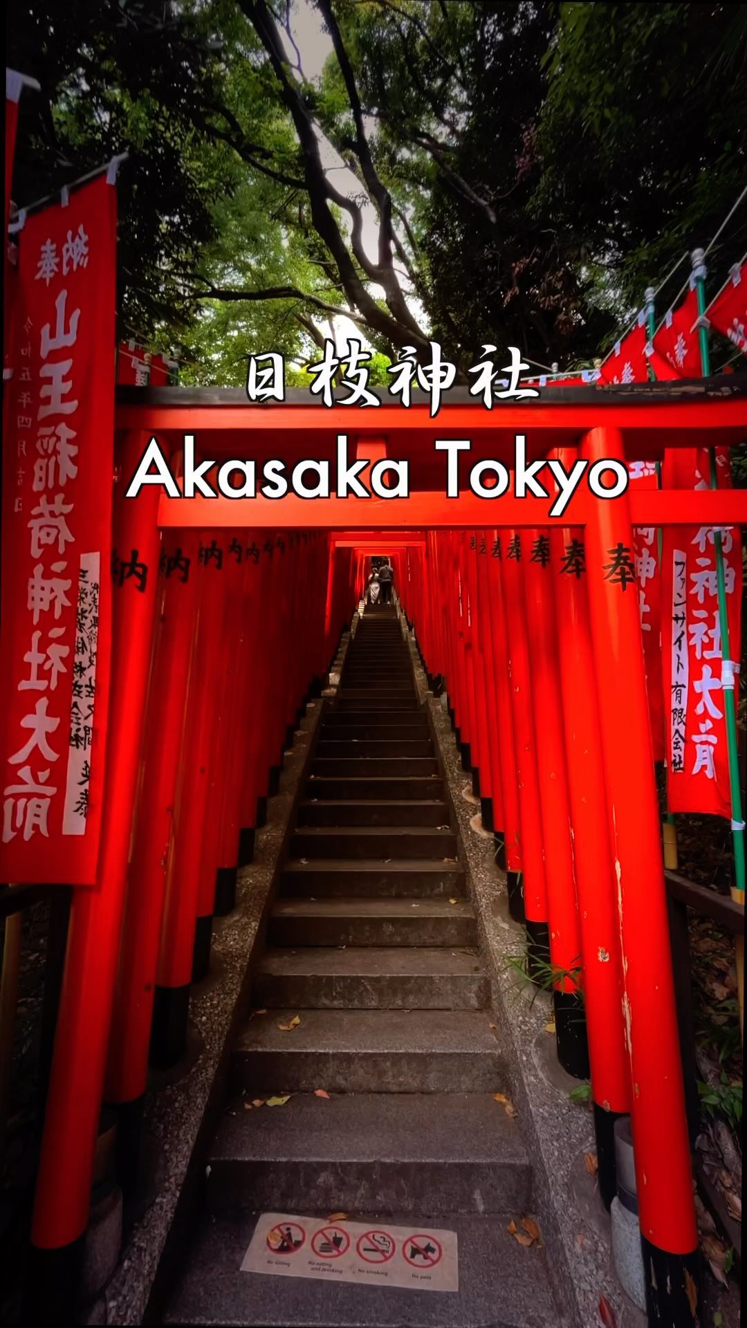 Hie Shrine's Guardian Monkeys and Thousand Torii Gates