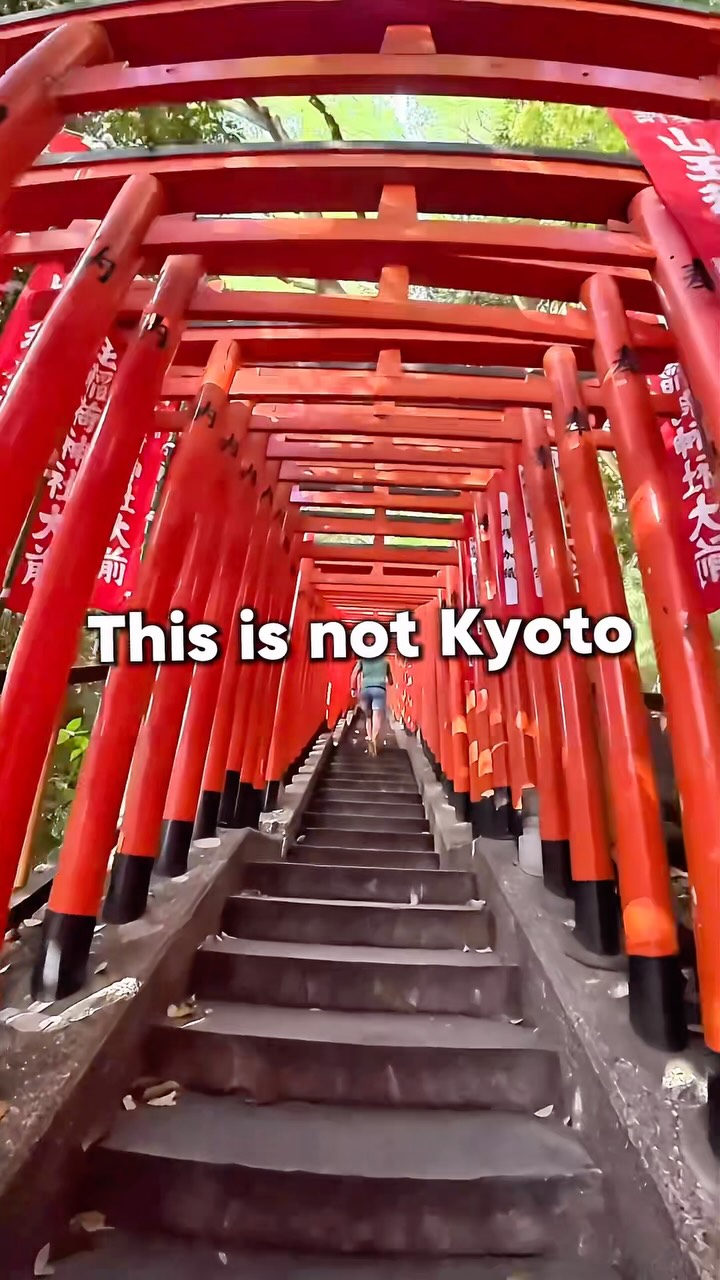 Tokyo Shrines and Imperial Palace Running Tour