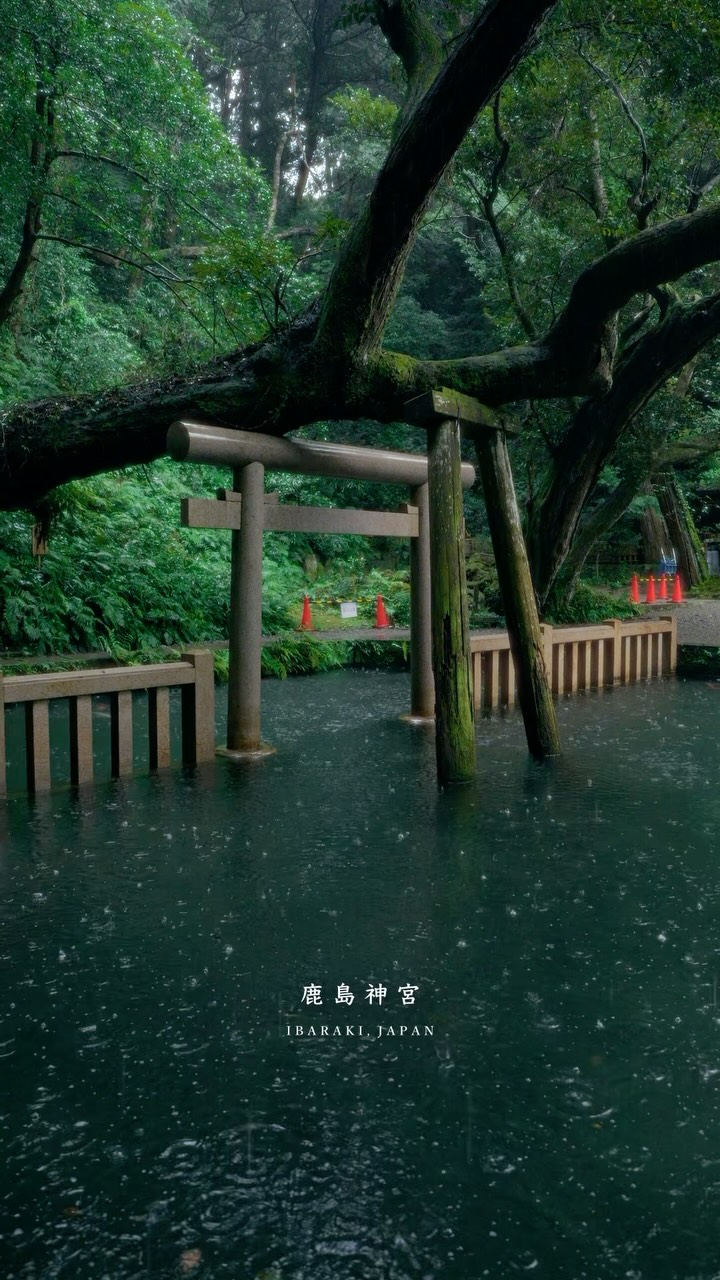 Kashima Jingu Shrine and Mitarashi Pond