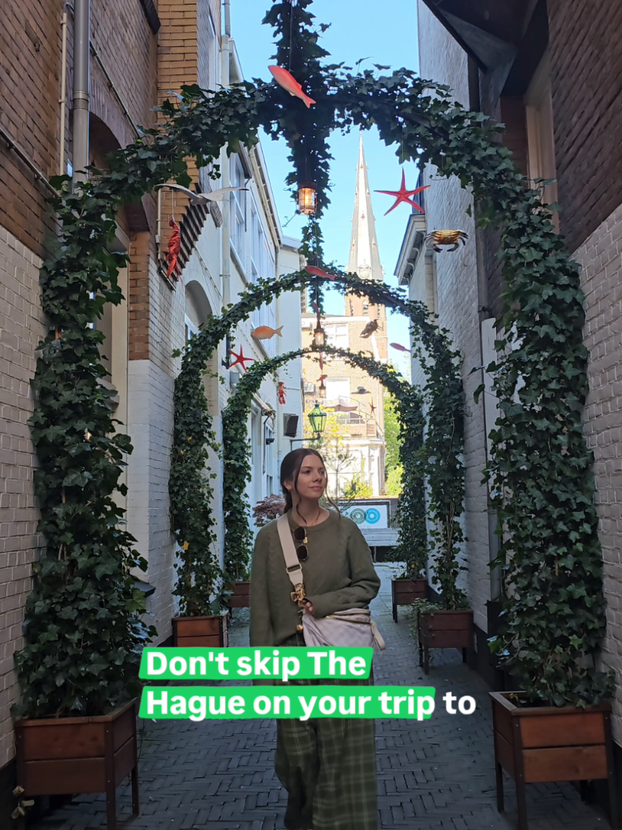 The Hague's Top Museums, Markets, and Historic Sites