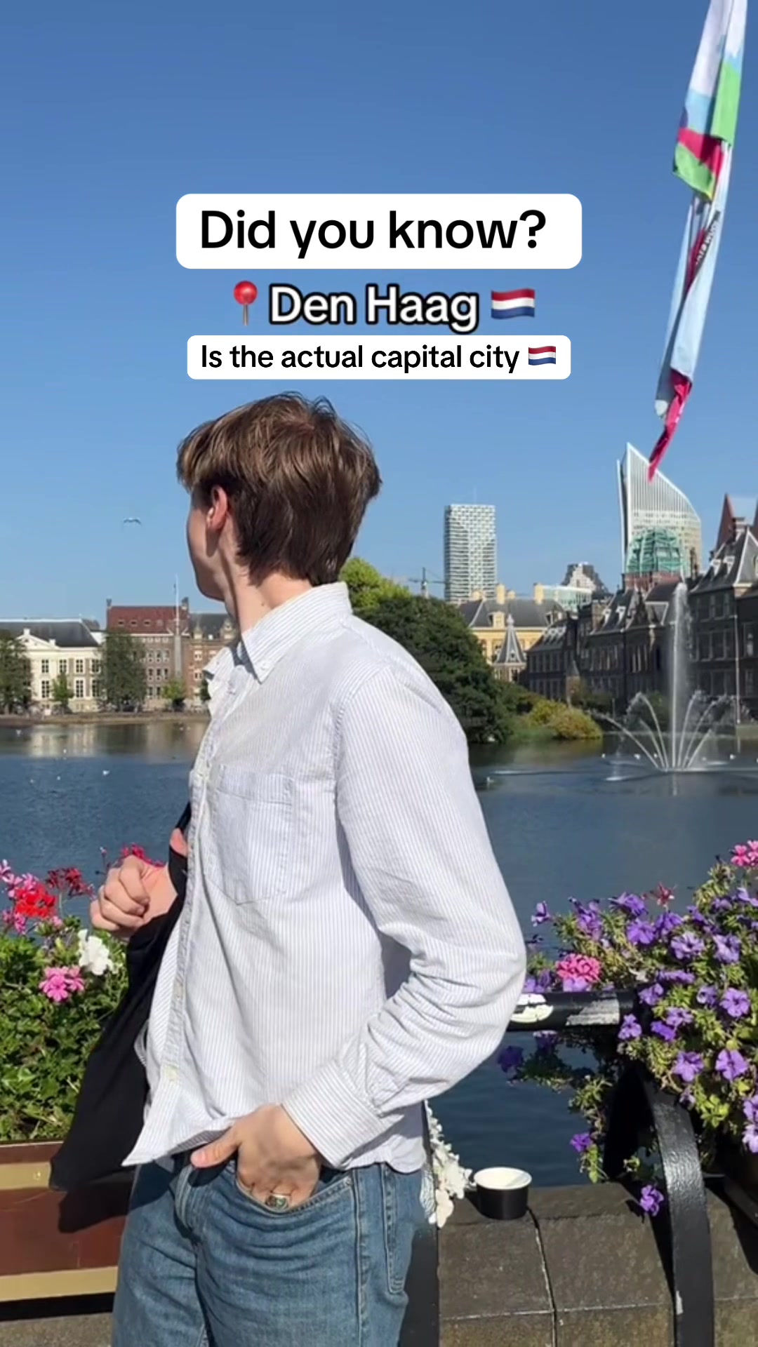 The Hague: Seat of Government and Cultural Hub