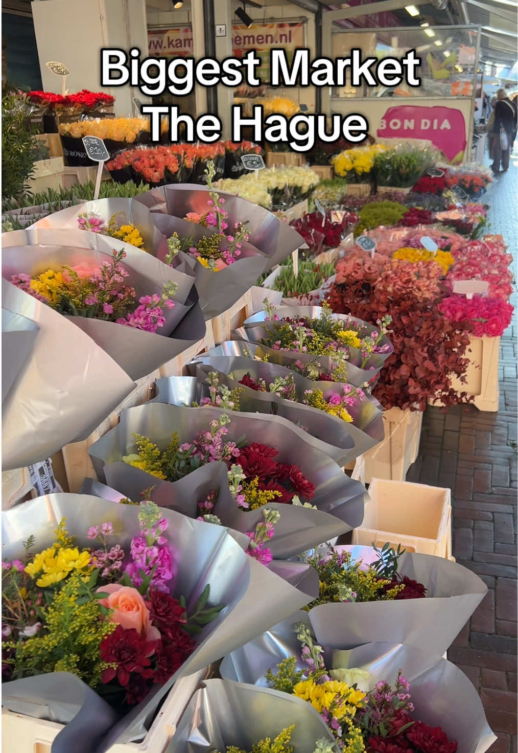 The Hague Market: Netherlands' Largest Open-Air Bazaar