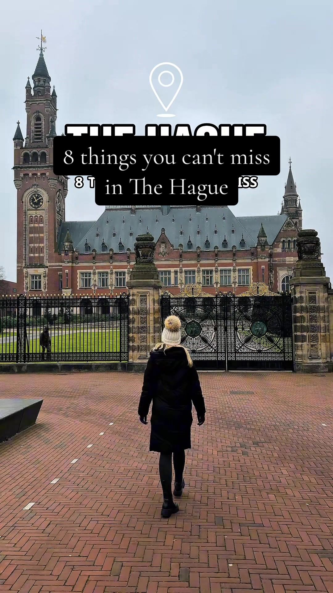 The Hague's Art, Palaces, and Coastal Charm