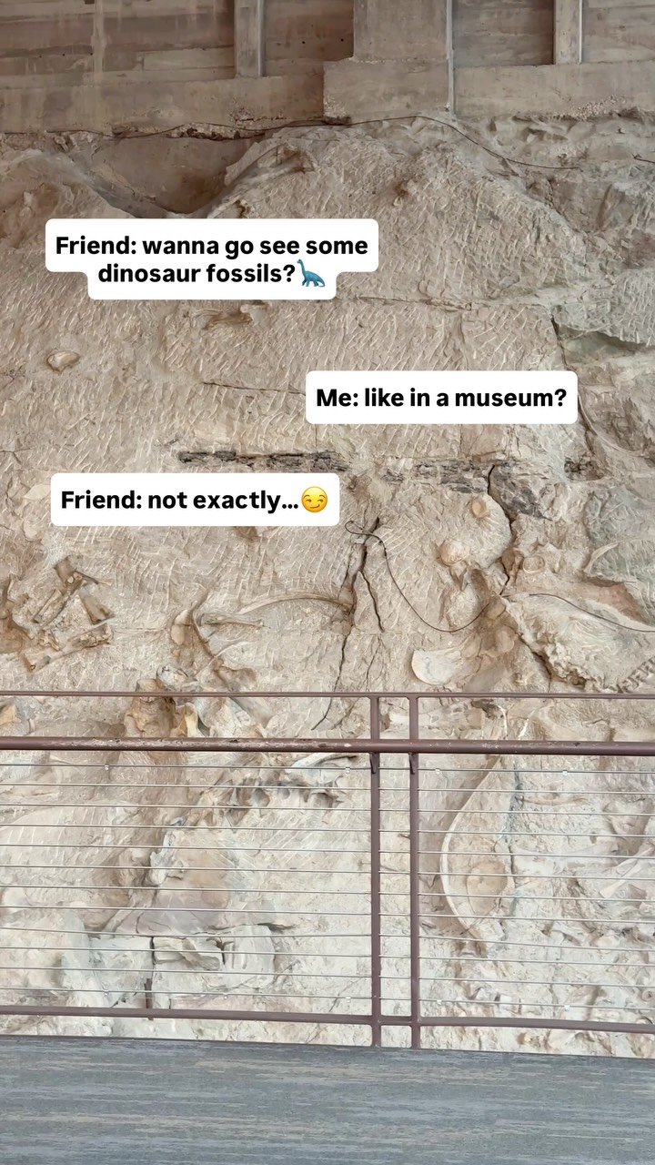 Dinosaur National Monument Fossils