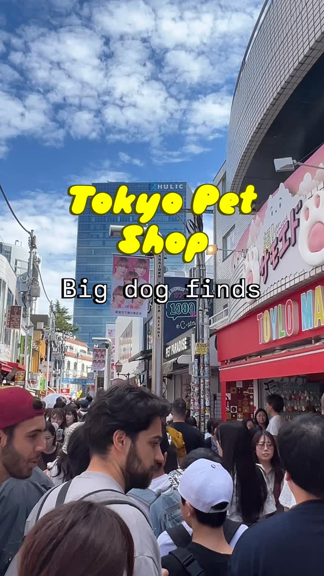 Tokyo Pet Paradise Offers Large Dog Products