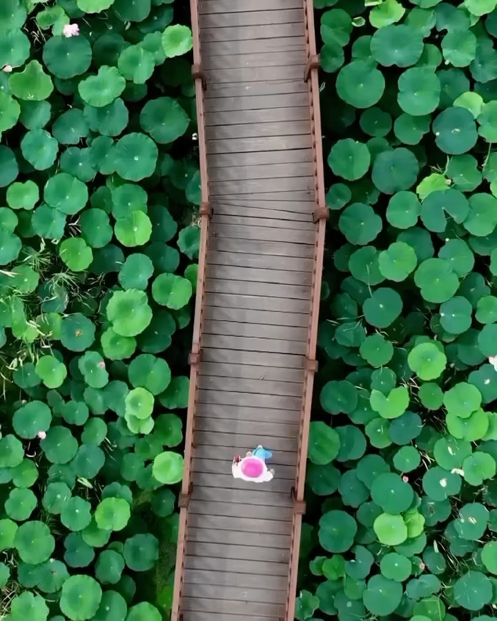 Bibijeong-gil: A Serene Pathway in South Korea