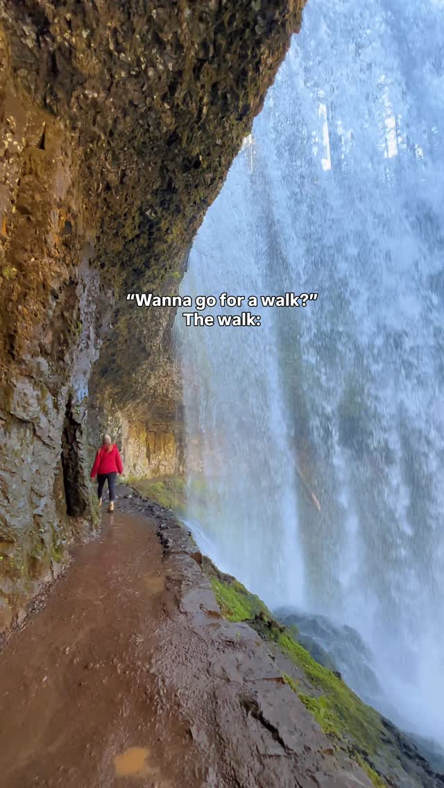 Silver Falls State Park's Trail of 10 Falls