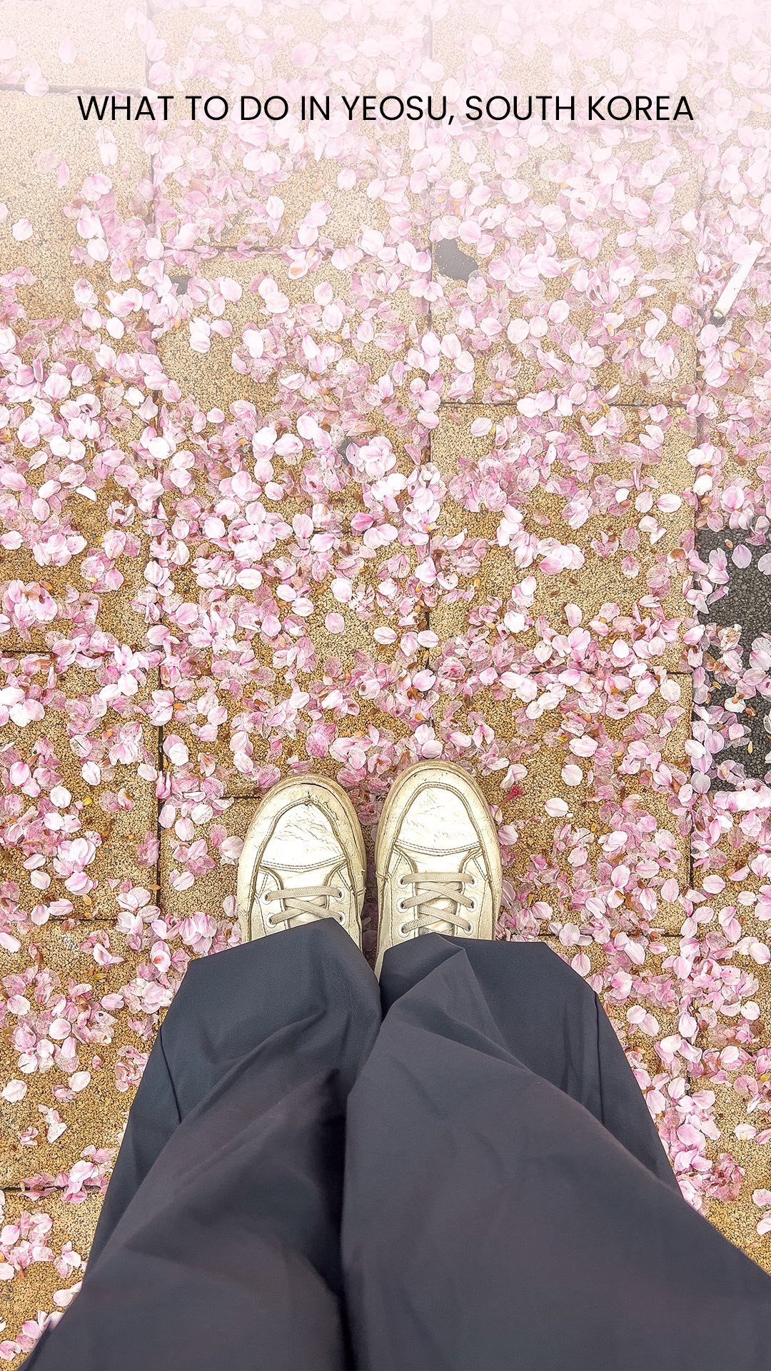 Yeosu's Top Four: Parks, Museums, Cable Cars, and Cuisine