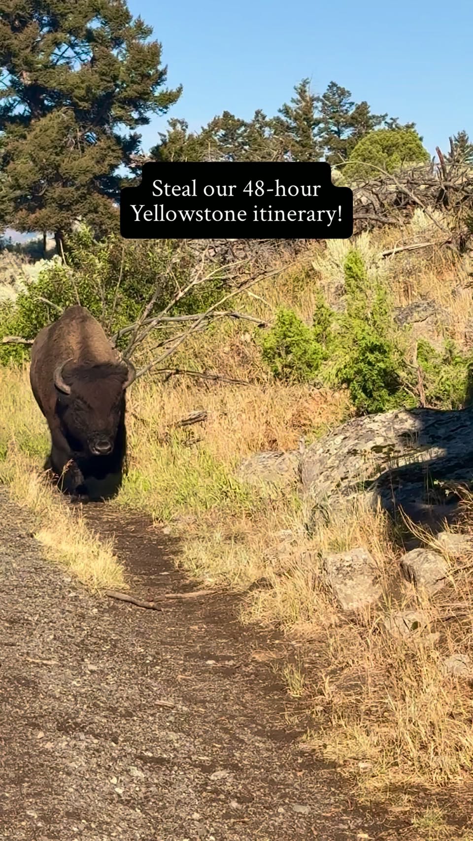 Yellowstone National Park: A 48-Hour Itinerary