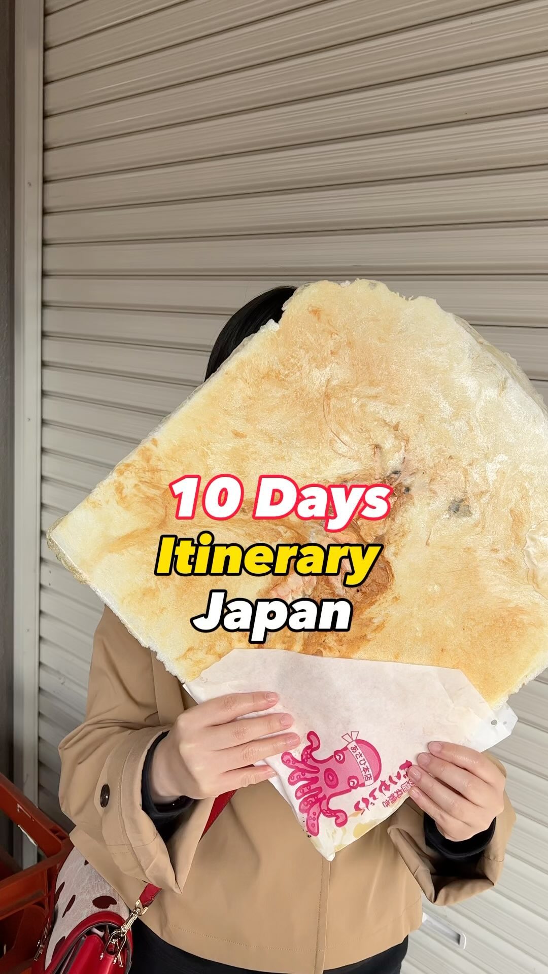 Twenty Top Spots for First-Time Japan Travelers