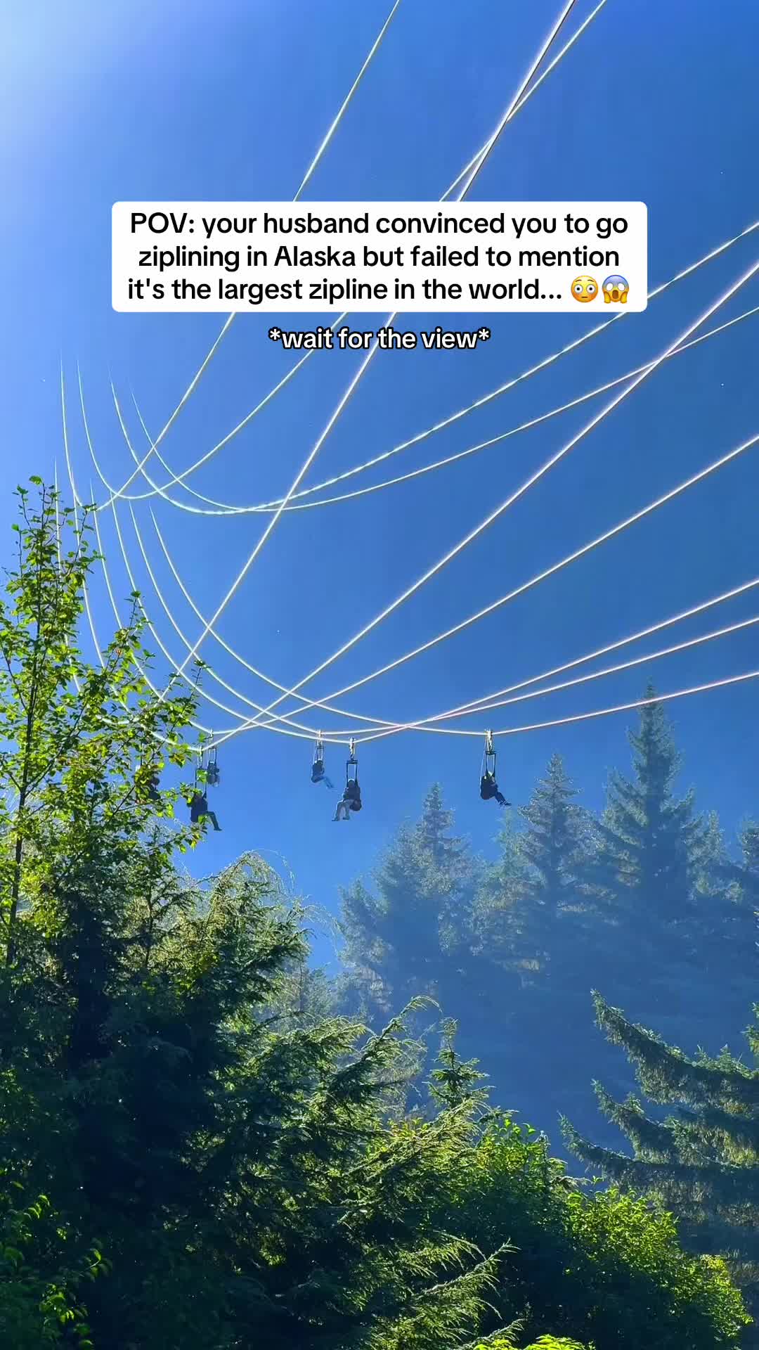 Alaska Adventures: Icy Strait Point & National Forest