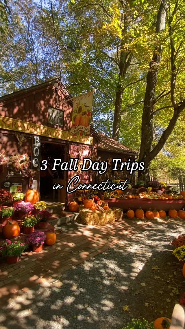 Connecticut Fall Day Trips: Mystic and Wethersfield