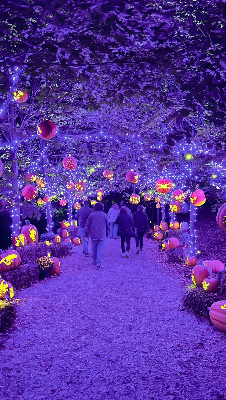 Massachusetts Halloween Events For Spooky Fun