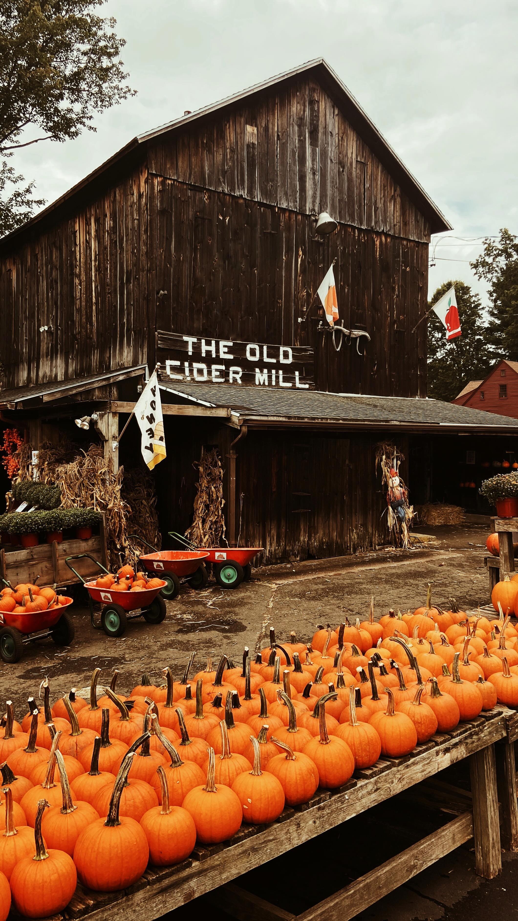 Connecticut Fall Farms And Coffee Shops