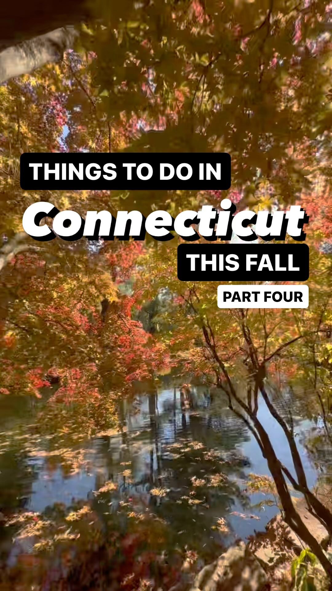 Wickham Park's Fall Activities