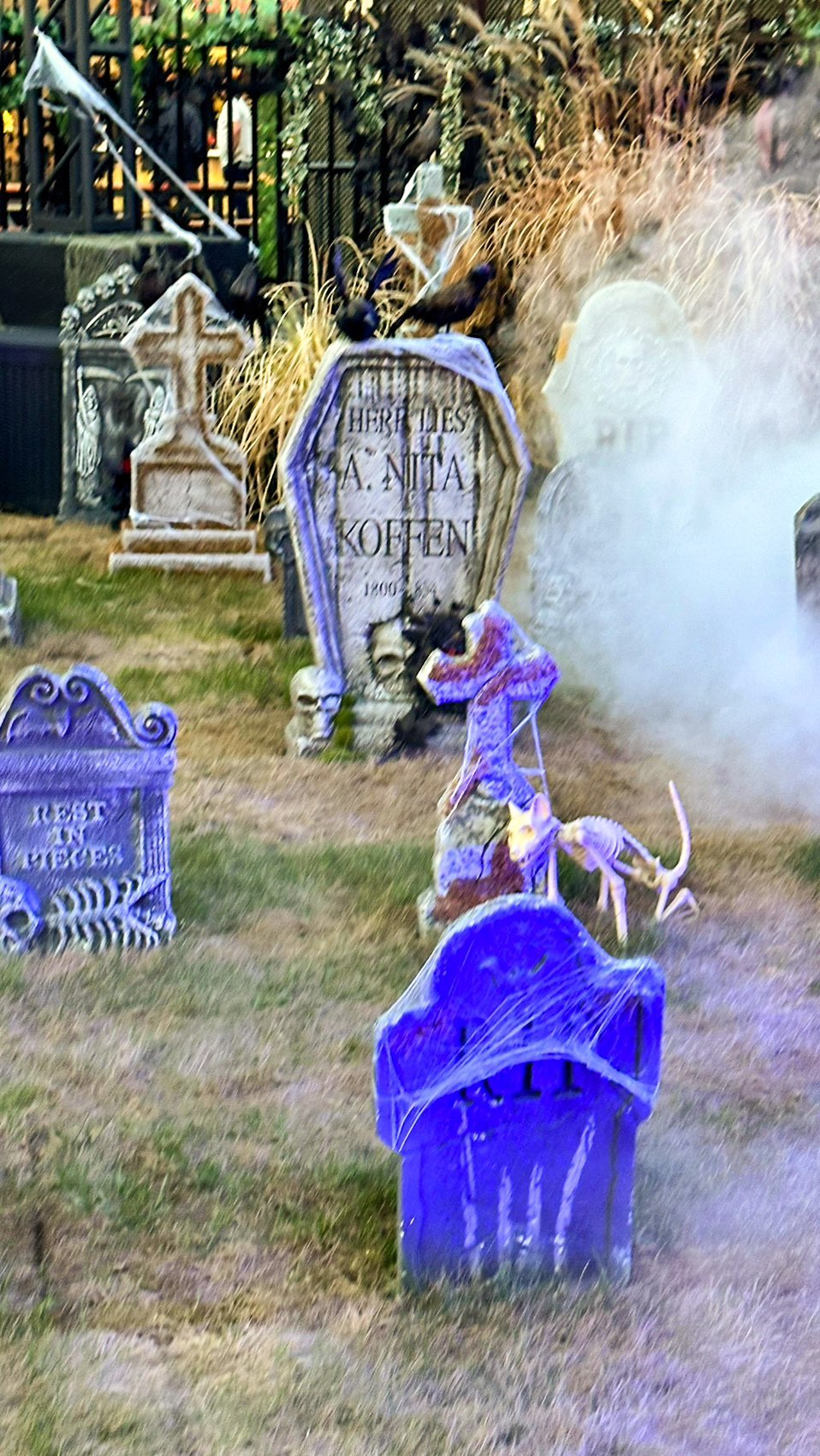 Charlestown Haunted Fest Features Beer Garden