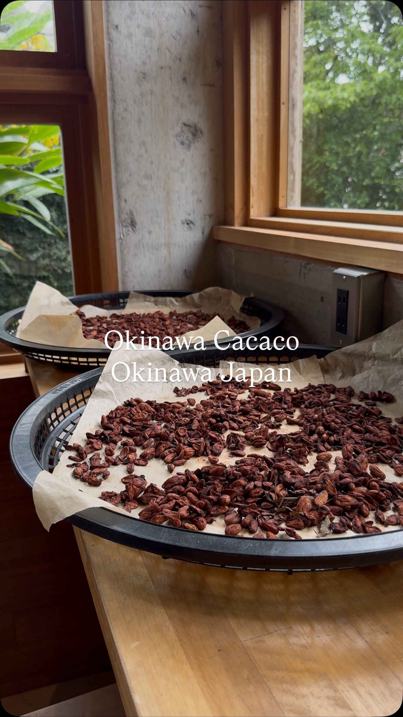 Okinawa Cacao and Yanbaru National Park Views